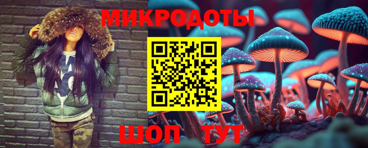 что такое   Галлюциногенные грибы мицелий  Вход с VPN  Лабытнанги  Псилоцибиновые грибы Psilocybe 
